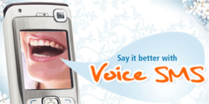 Bulk Voice SMS Service