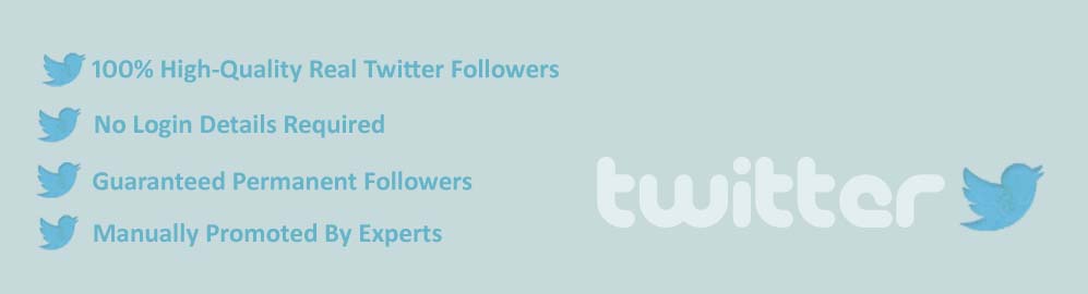 twitter followers Provider
